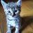 GiuIn